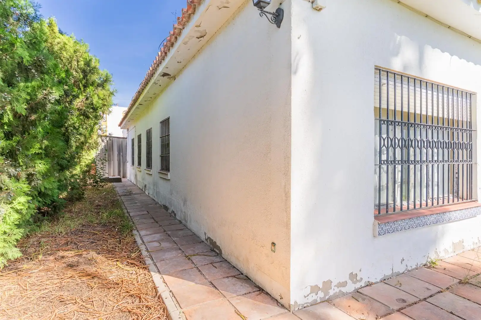 Vista exterior de Casa o xalet en venda en Crevillet - Pinar Alto