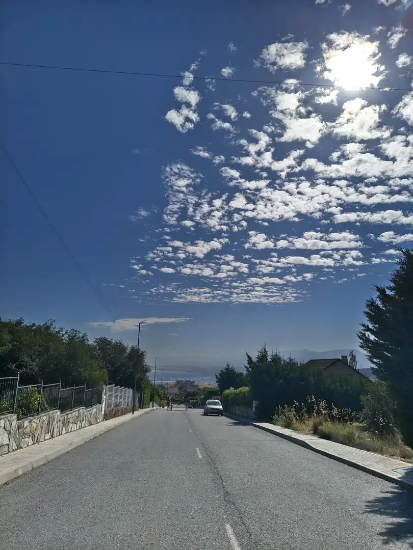 Terreni e lotti in vendita a LOS OLMOS, imagen 6