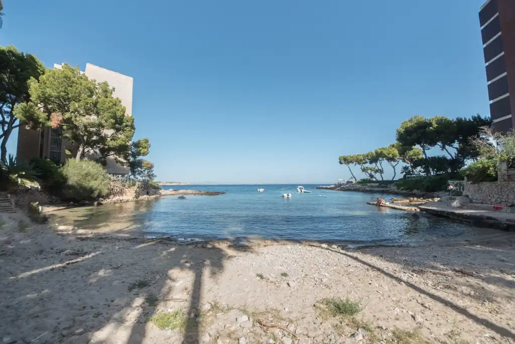 Vista exterior de Apartamento en venta en Calvià con Aire acondicionado, Terraza y Trastero