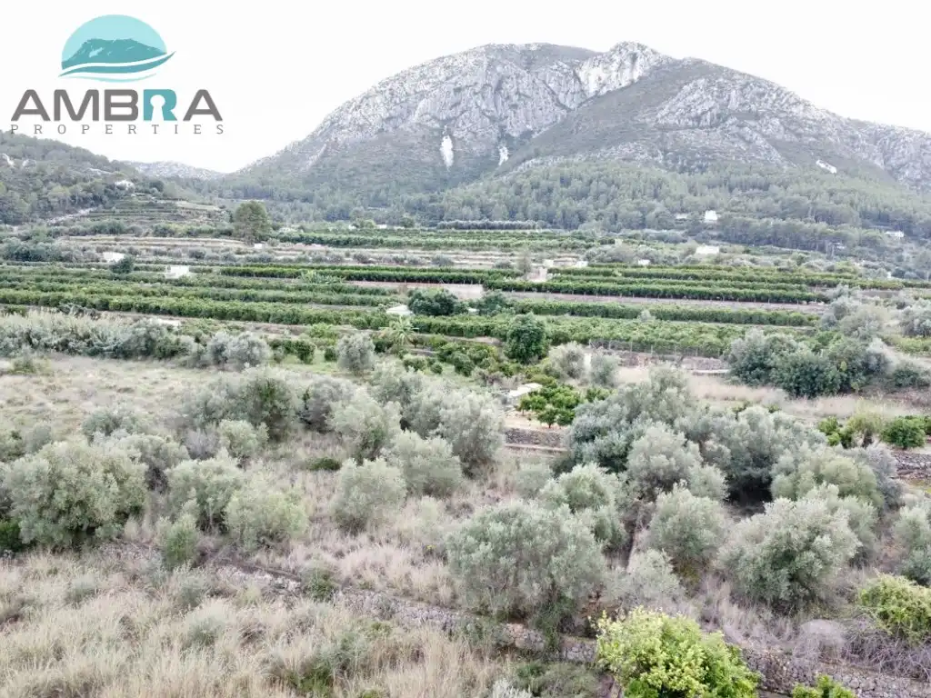 Rural land for sale in Pego, imagen 7