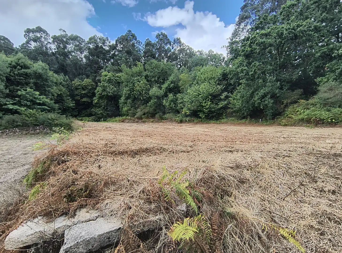 Terrenos y solares en venta en Mondariz, imagen 6