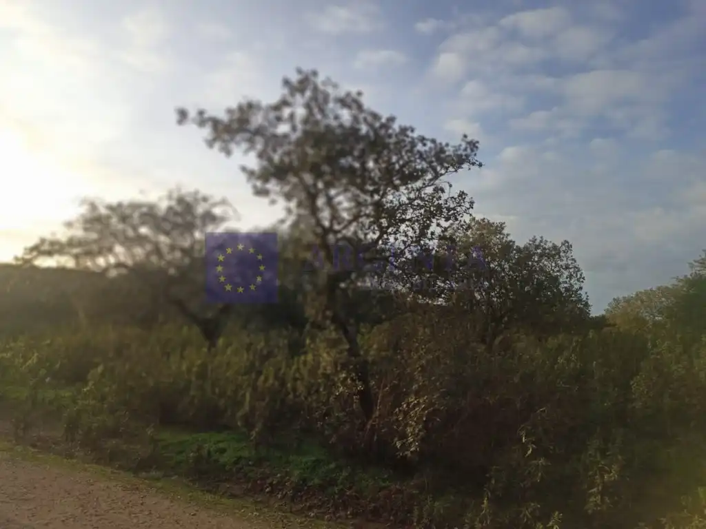 Casa o xalet en venda a Oeste