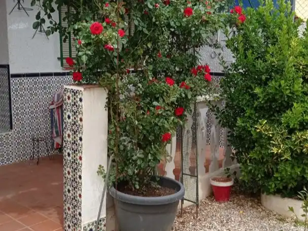 Habitatge amb jardí en venda a BARRIO NUEVO SAN CLEMENTE 0, imagen 41