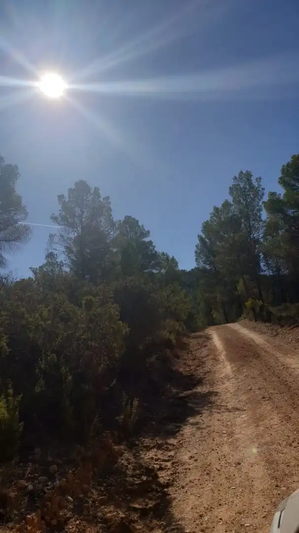 Terrain résidentiel à vendre à Requena, imagen 2