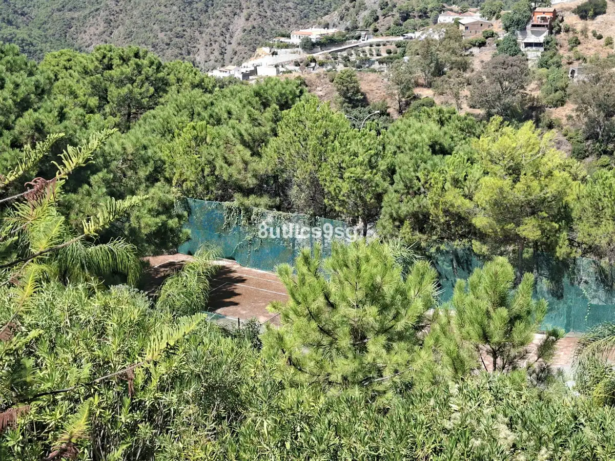 Finca rústica en venta en Istán, Málaga