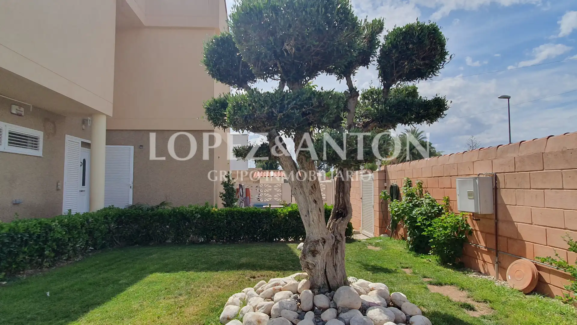 Casa o chalet en venta en Montealegre