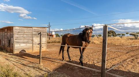Foto 3 de Casa o xalet en venda a Senda de la Galiana, Pozuelo del Rey, Madrid