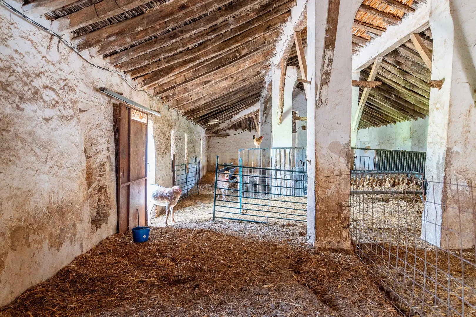 Casa in vendita a Olvera, Spain Polígono 24 Parcela 159 - La Mota, imagen 14