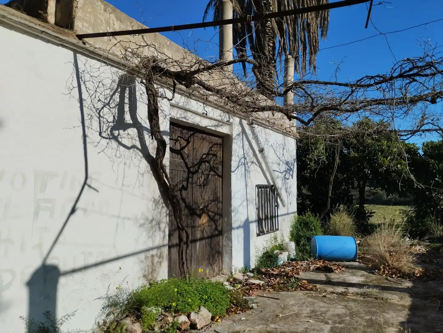 Vista exterior de Finca rústica en venta en La Vall d'Ebo