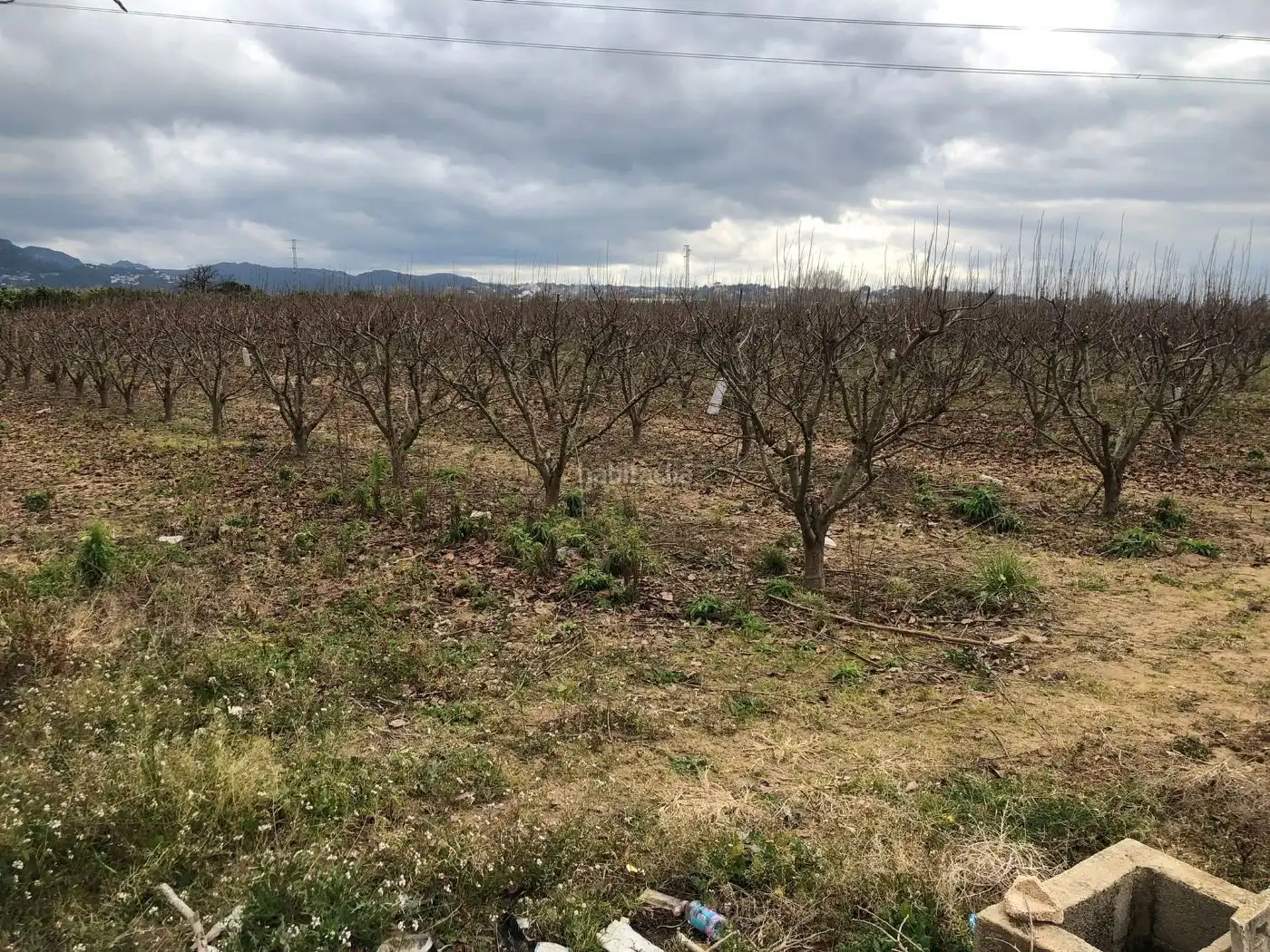 Terreno residenziale in vendita a Ronda d'Alzira 52