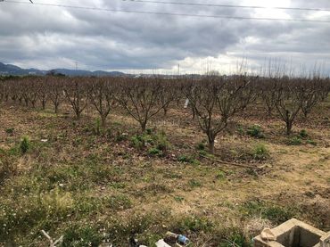Terreno residenziale in vendita a Ronda d'Alzira 52