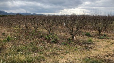 Campo agrícola de 11,634 metros cuadrados