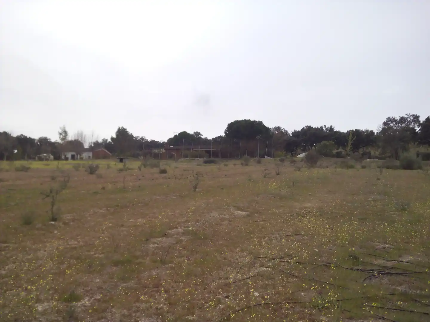 Terreno en venta en Aldea del Fresno