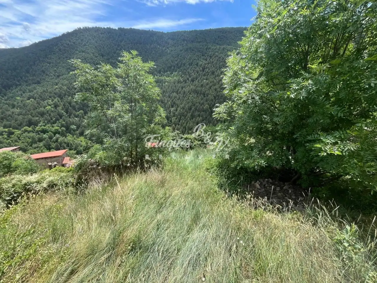 Casa o xalet en venda en El Pont de Bar amb Calefacció, Jardí privat i Parquet
