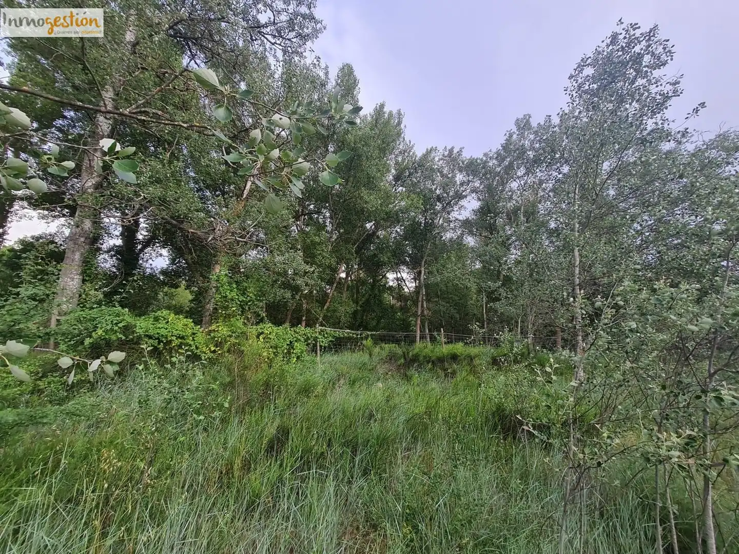 Terreno rustico in vendita a Tudela de Duero, imagen 9
