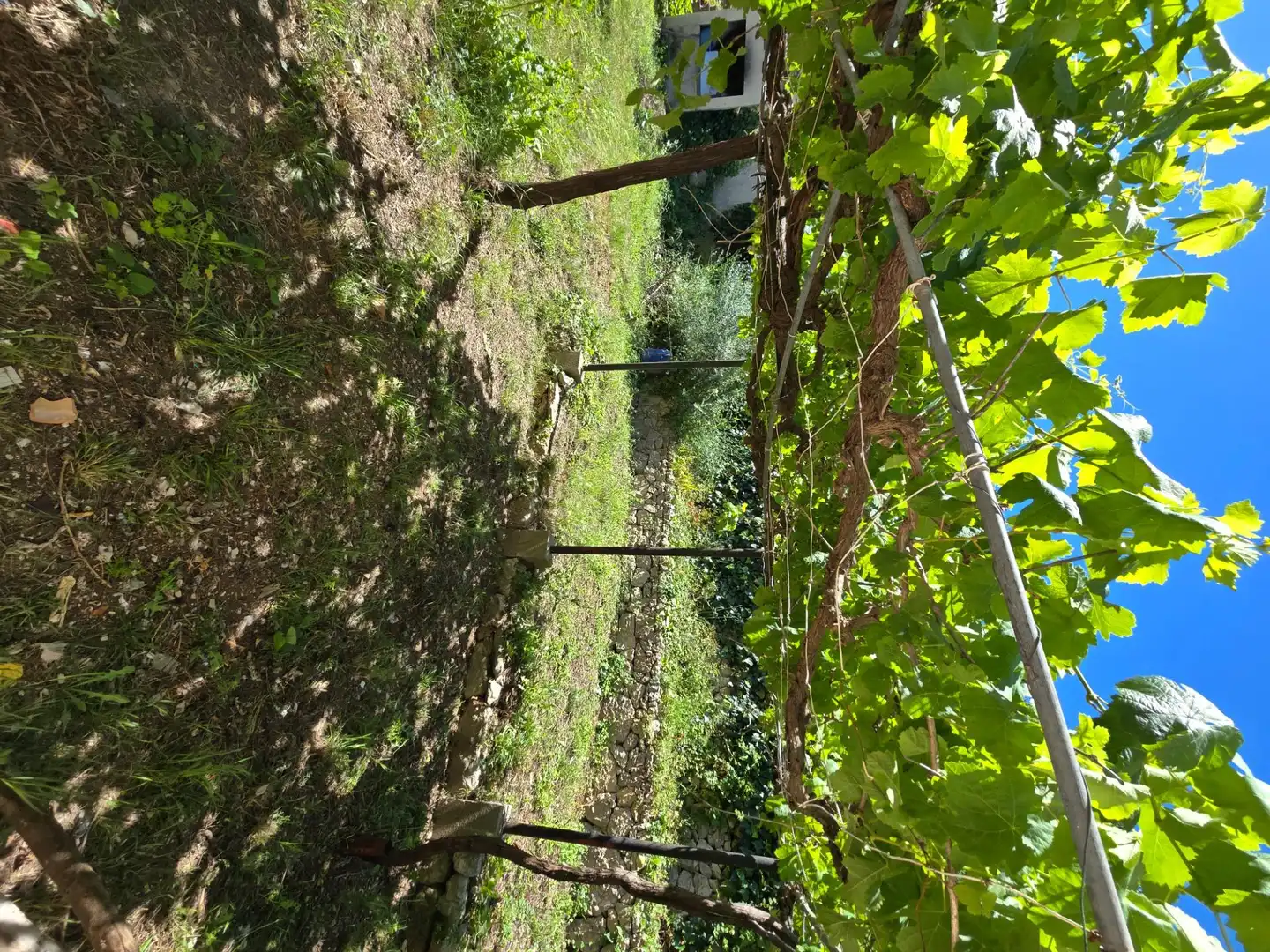 Casa o xalet en venda en Mancor de la Vall amb Terrassa, Traster i Piscina