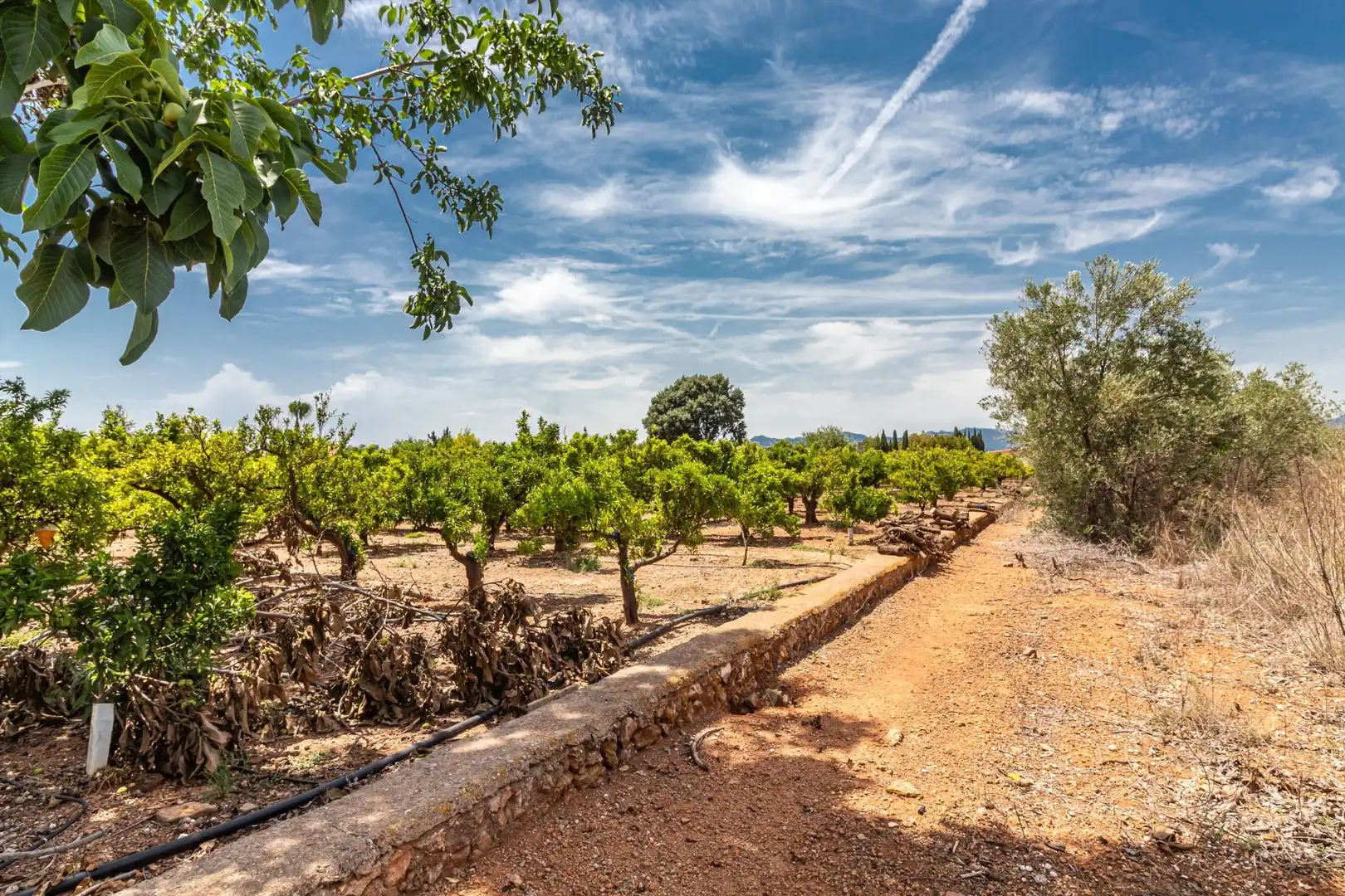 Rural land for sale in Polígono Polígono 4 Paraje 109 MADRIGAL 917, imagen 4