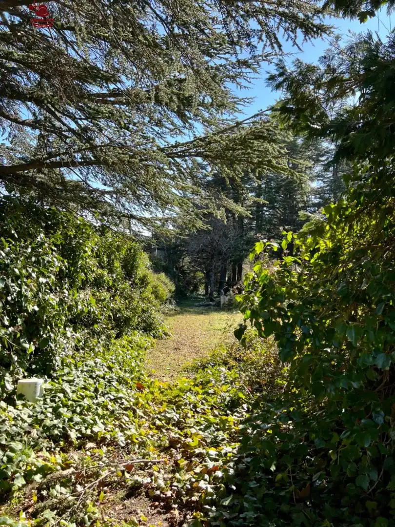 Wohnbaugrundstück zum Verkauf in Cercedilla, imagen 6