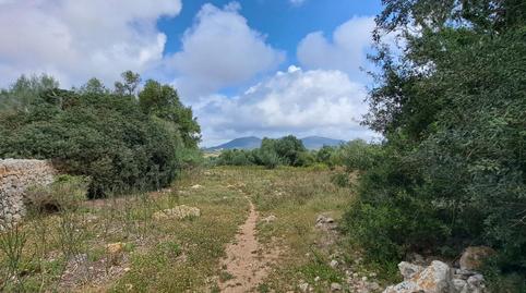 Foto 5 de Finca rústica en venta en Sant Llorenç des Cardassar, Illes Balears
