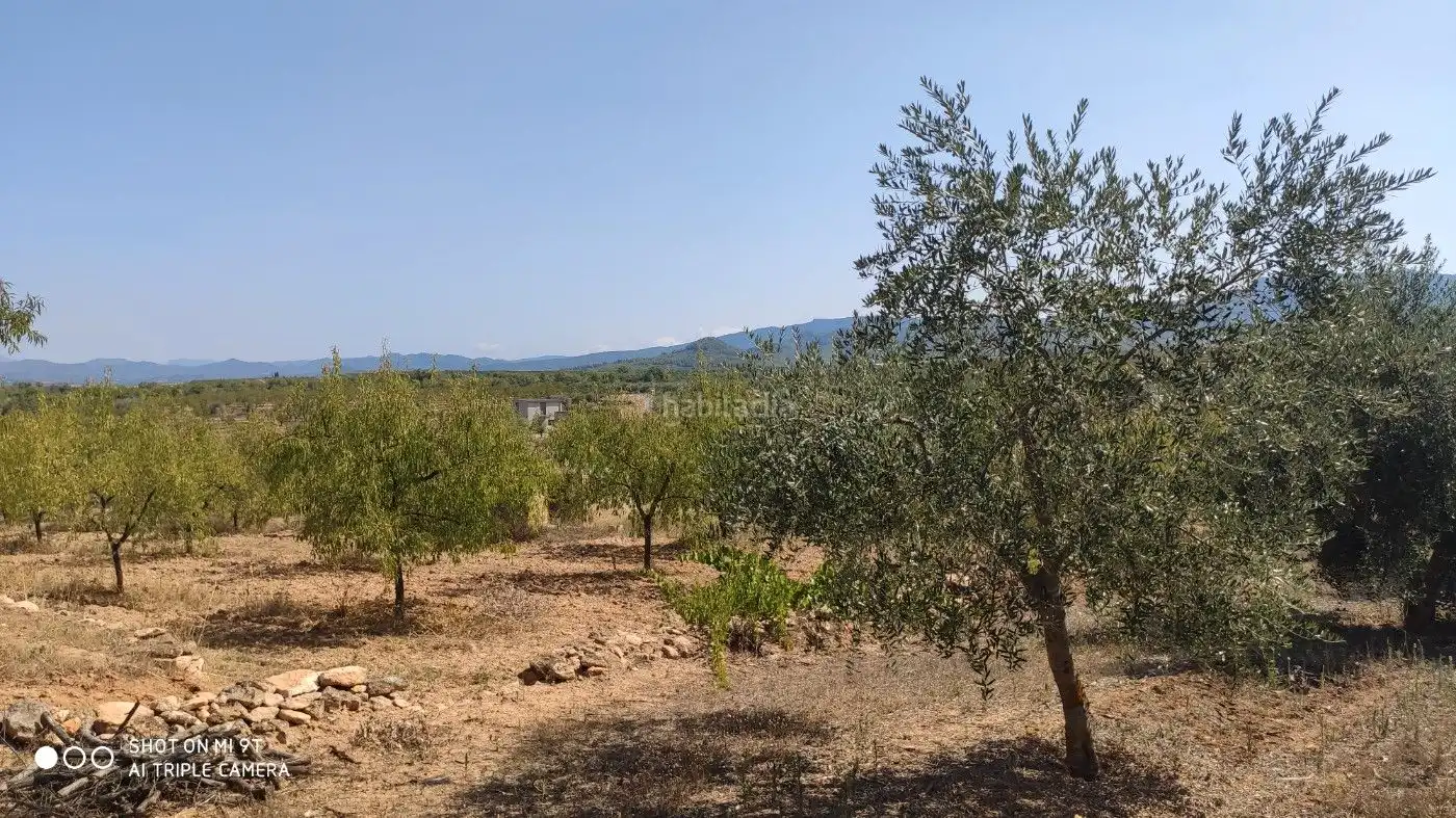 Rural land for sale in Carrer de la Muntanya 1, imagen 16