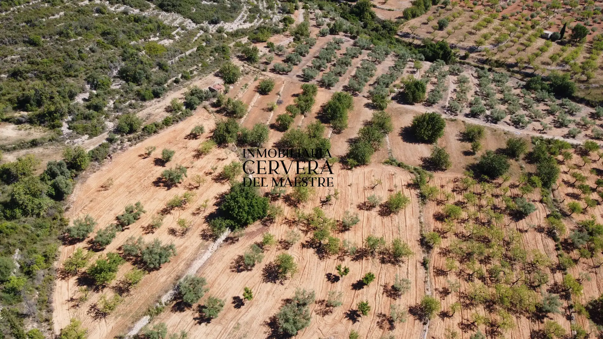 Rural land for sale in Cervera del Maestre, imagen 28