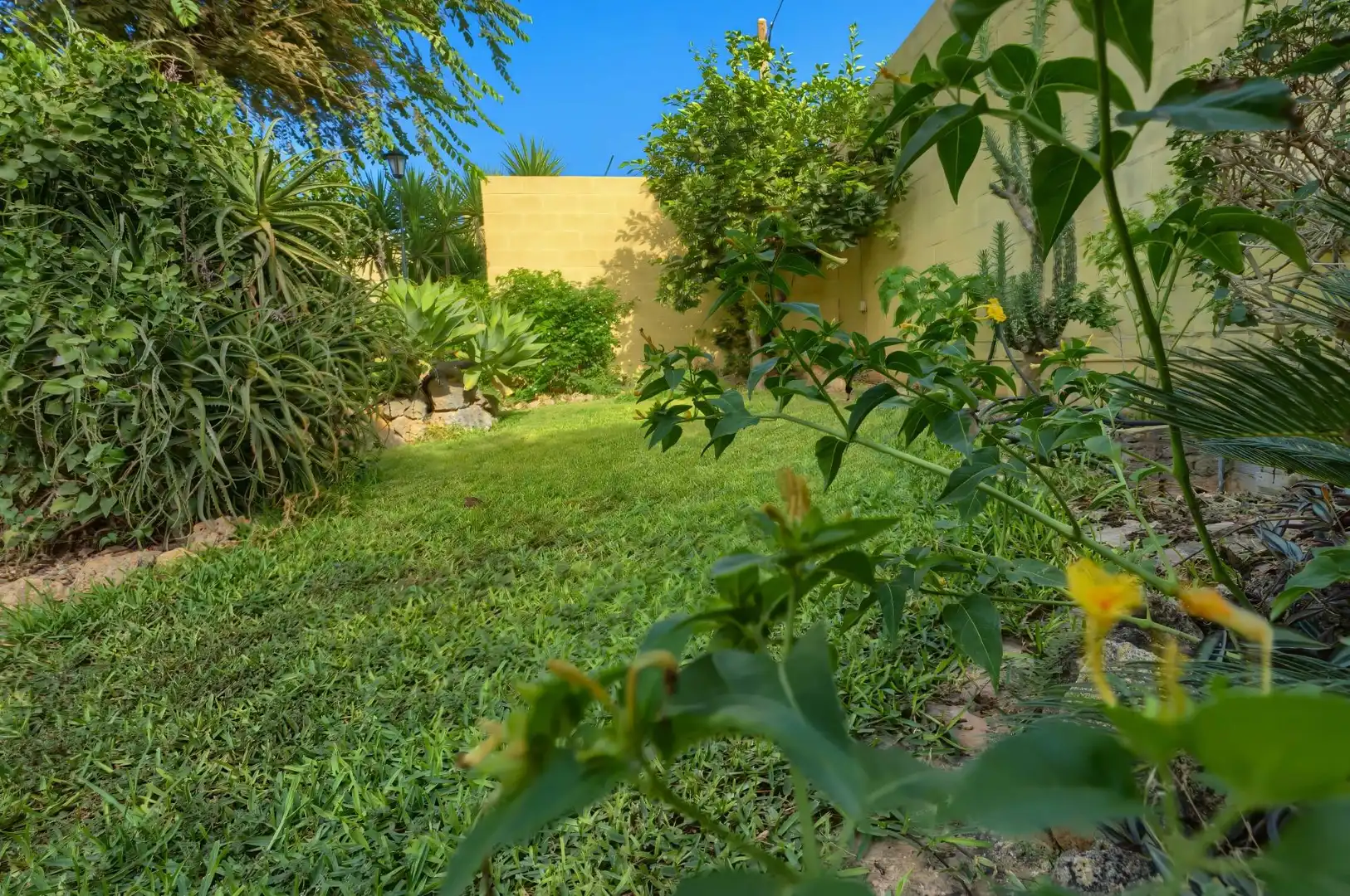 Jardín de Casa o chalet en venta en Sanlúcar la Mayor con Aire acondicionado, Calefacción y Jardín privado