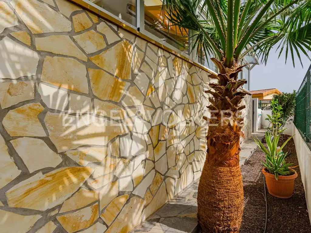 Vista exterior de Casa o chalet en venta en Adeje con Terraza, Amueblado y Jacuzzi