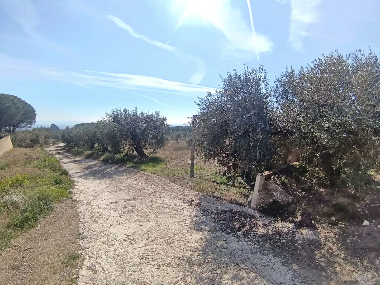Terrain rustique à vendre à La Selva del Camp, imagen 17