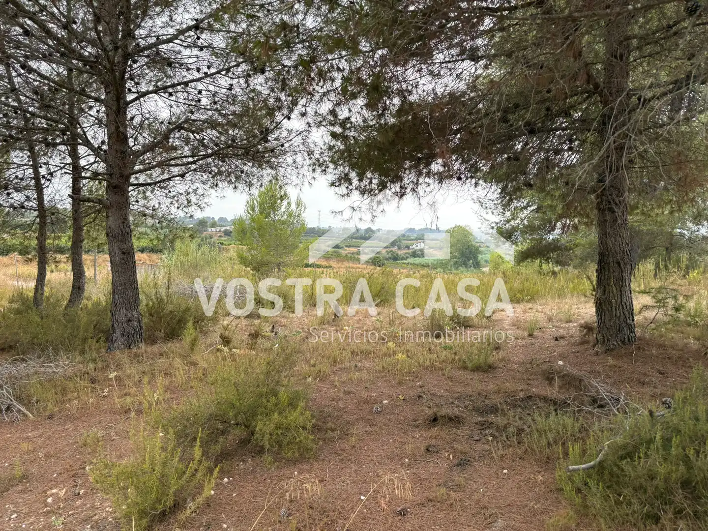 Terreno rustico in vendita a CL BADAJOZ, imagen 2