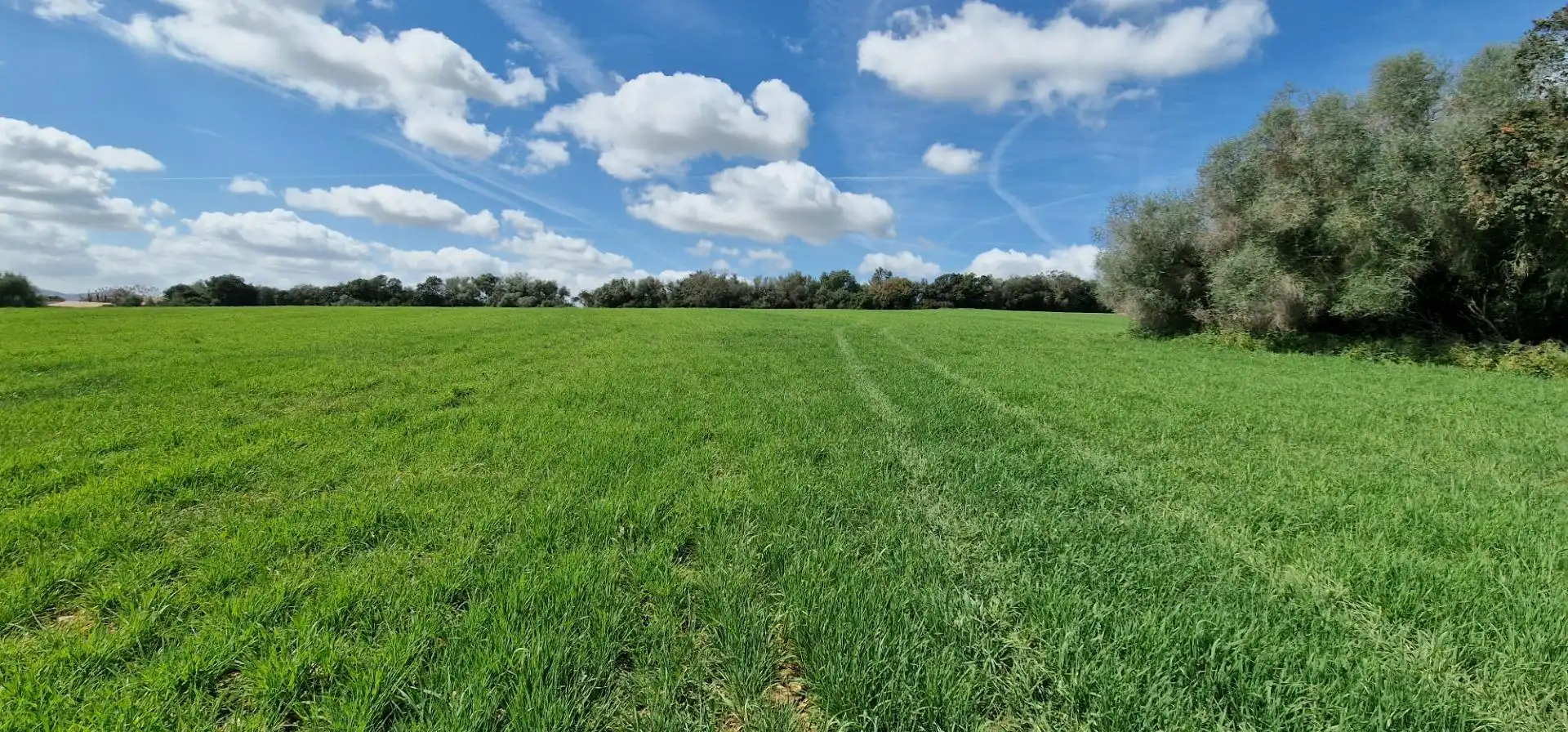 Country homes for sale in Manacor