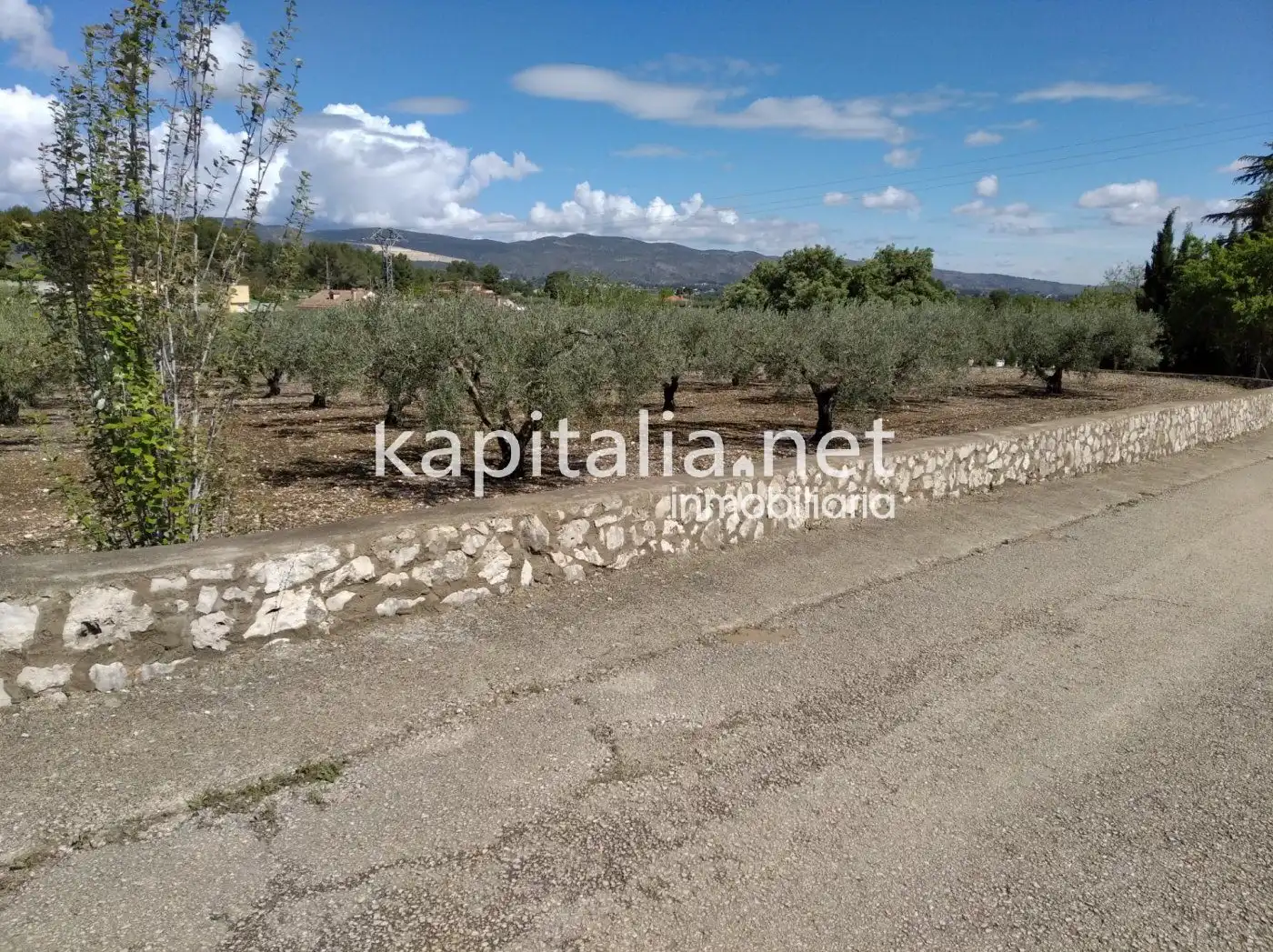 Finca rústica en venta en Ontinyent