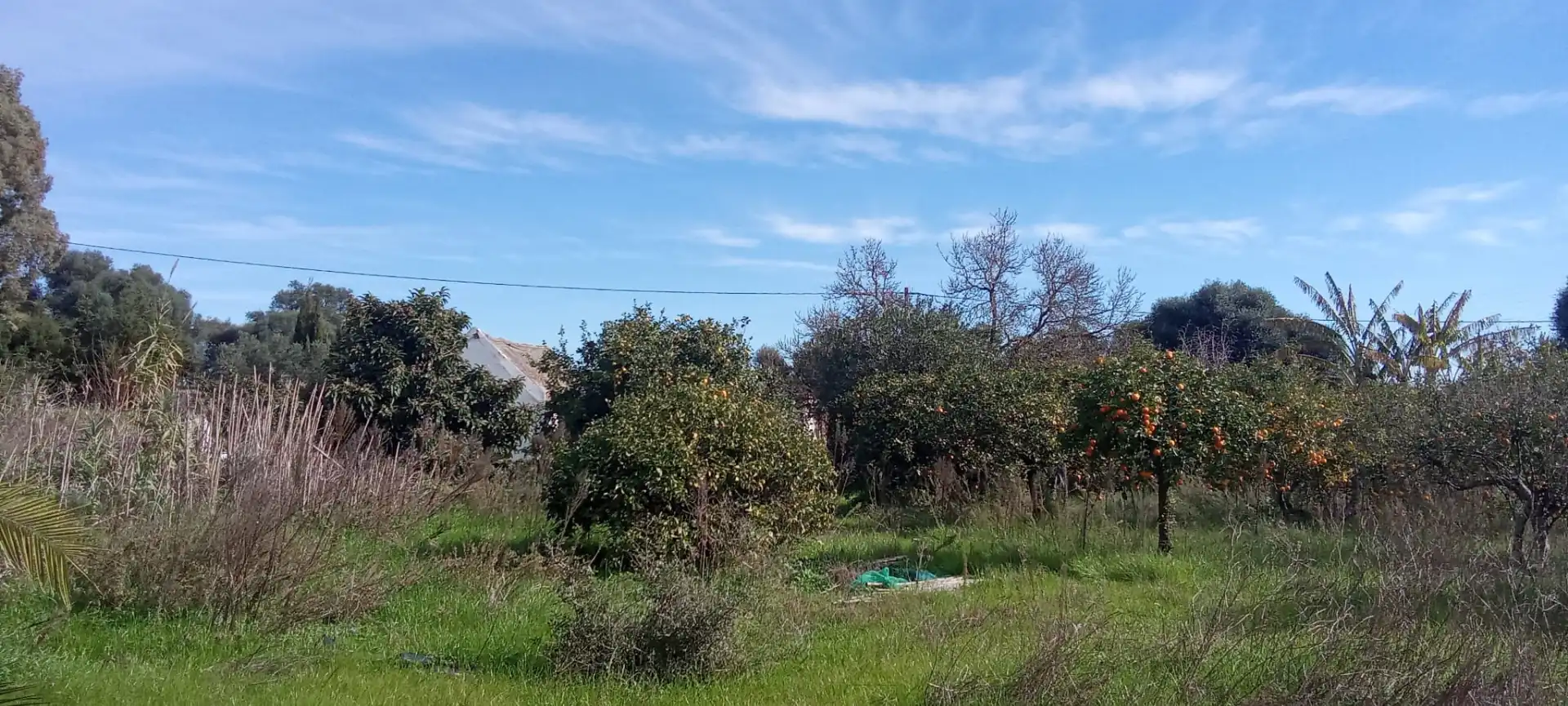 Casa rústica en venda a Vejer, imagen 9
