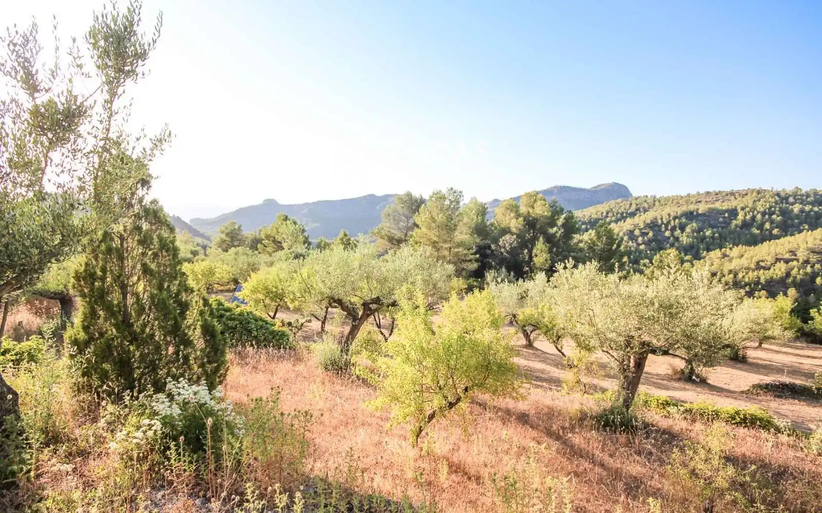 Finca rústica en venta en Benifallet con Calefacción, Trastero y Amueblado
