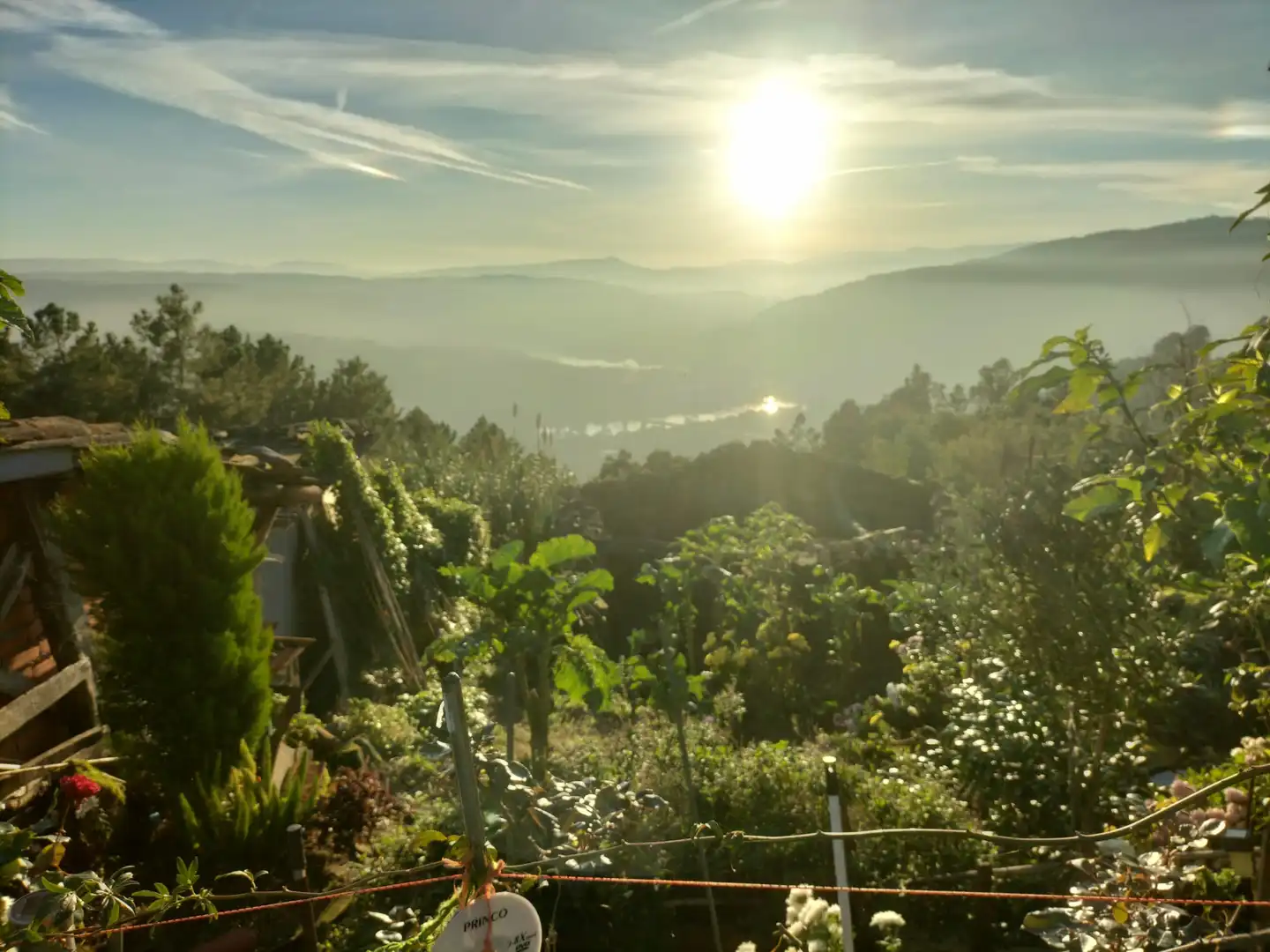 Jardín de Finca rústica en venta en Ourense Capital  con Jardín privado, Terraza y Balcón