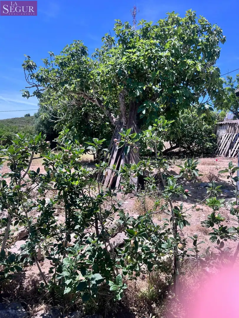 Casa o xalet en venda en Vejer de la Frontera amb Jardí privat