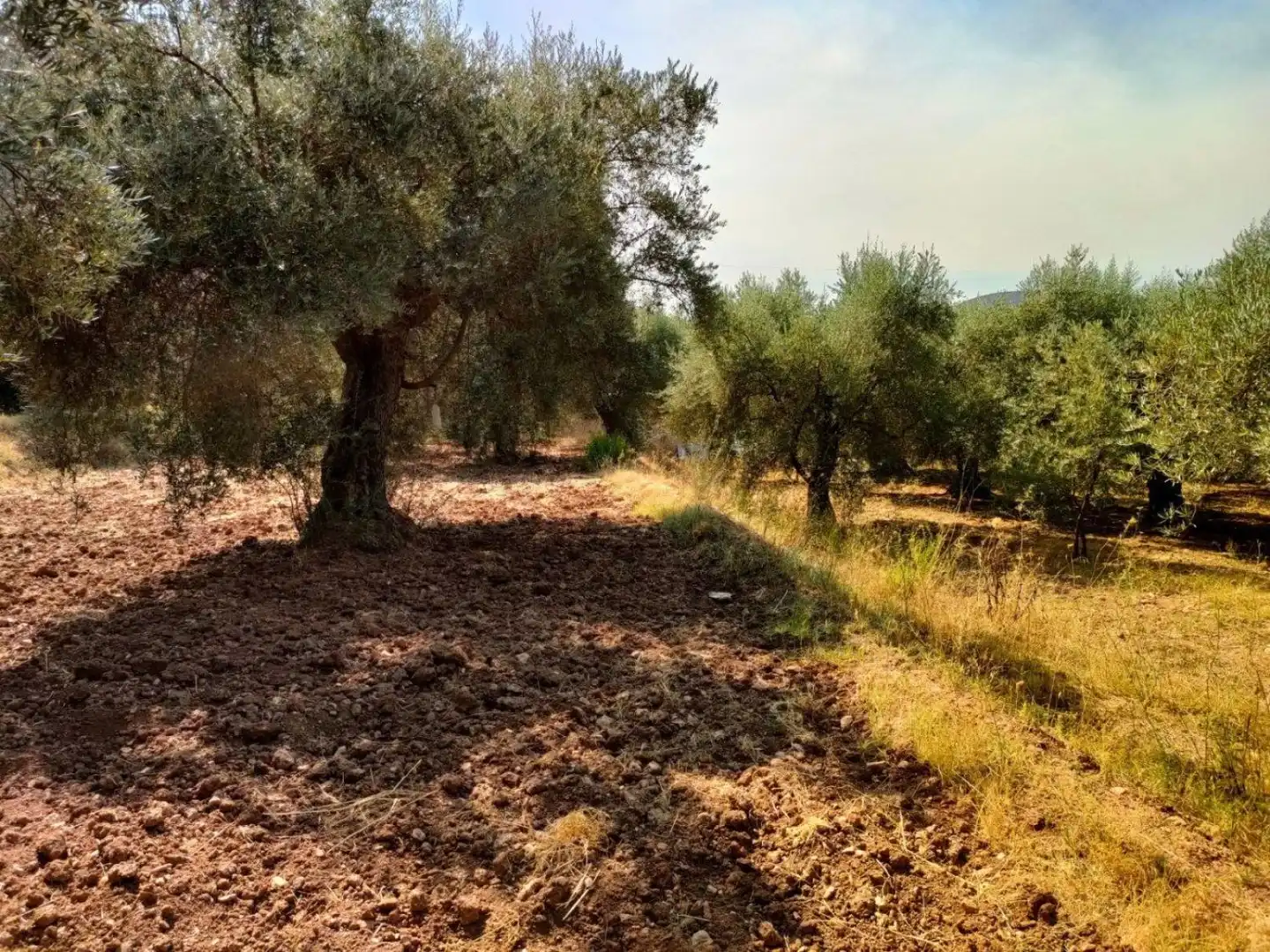 Grundstücke und Bauplätze zum Verkauf in Ugíjar, imagen 2