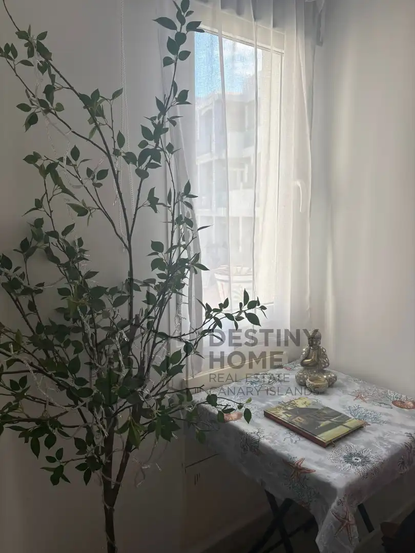 Wohnzimmer von Wohnungen zur Miete in La Oliva mit Haustiere erlaubt