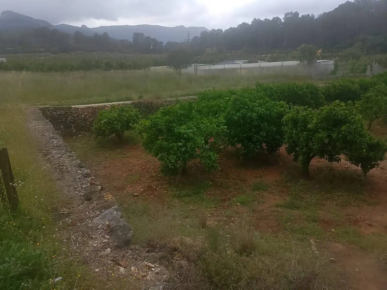 Terrain rustique à vendre à Calle Cami Rural Rotova, imagen 10
