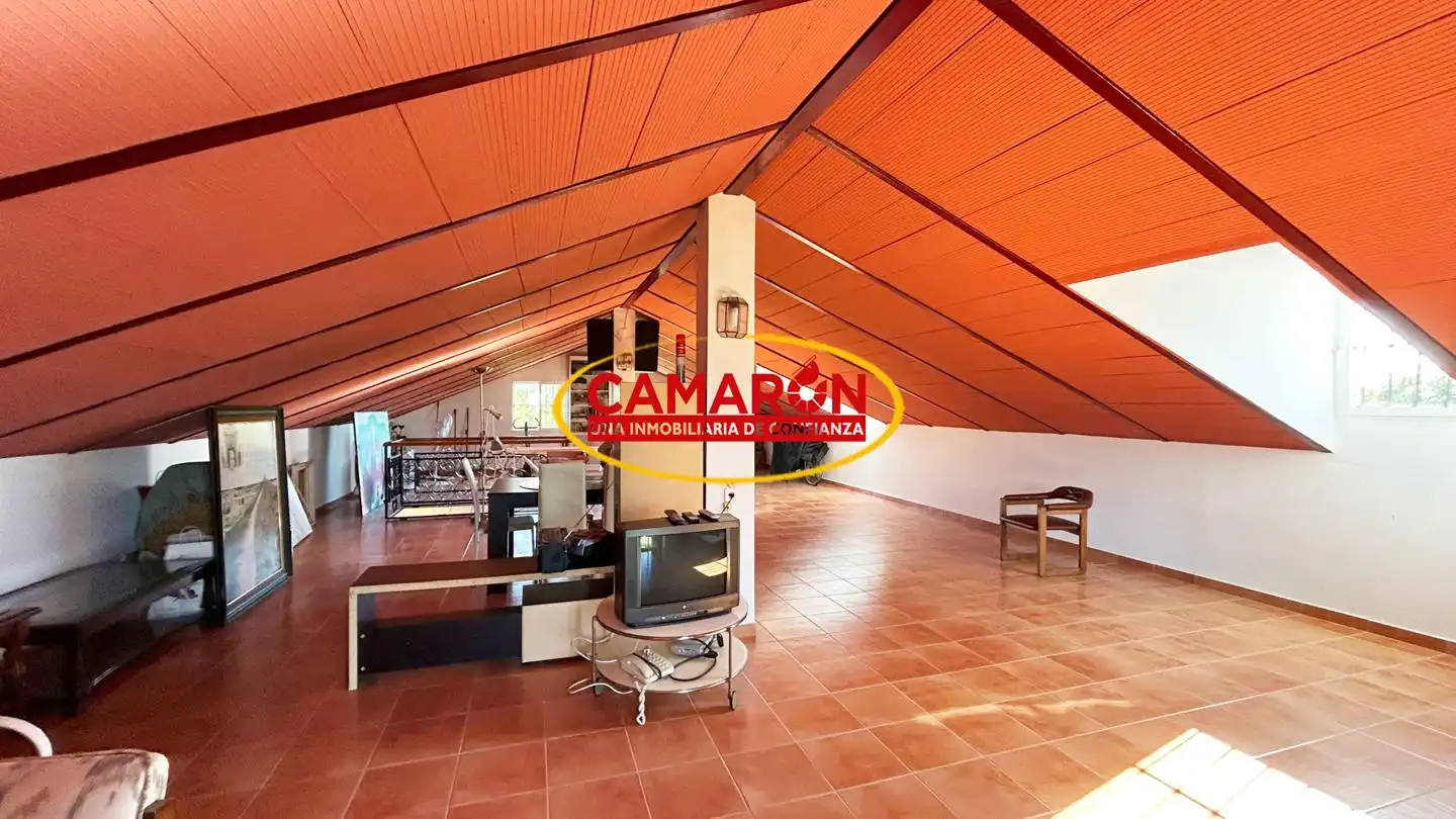 Finca rústica en venda en Coria del Río amb Jardí privat i Piscina