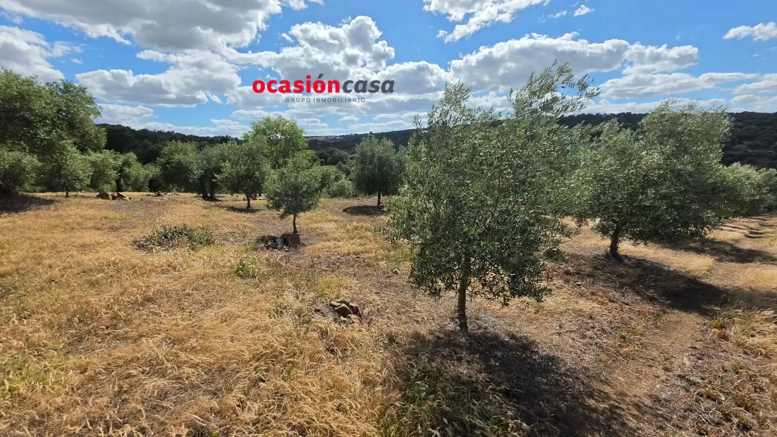 Residential land for sale in Fuente Obejuna, imagen 4
