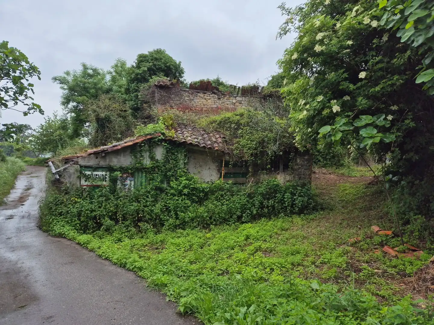 Vista exterior de Casa o xalet en venda en Villaviciosa amb Piscina