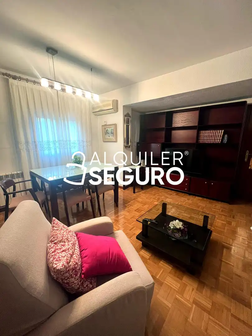 Living room of Flat for rent in Ciudad Lineal