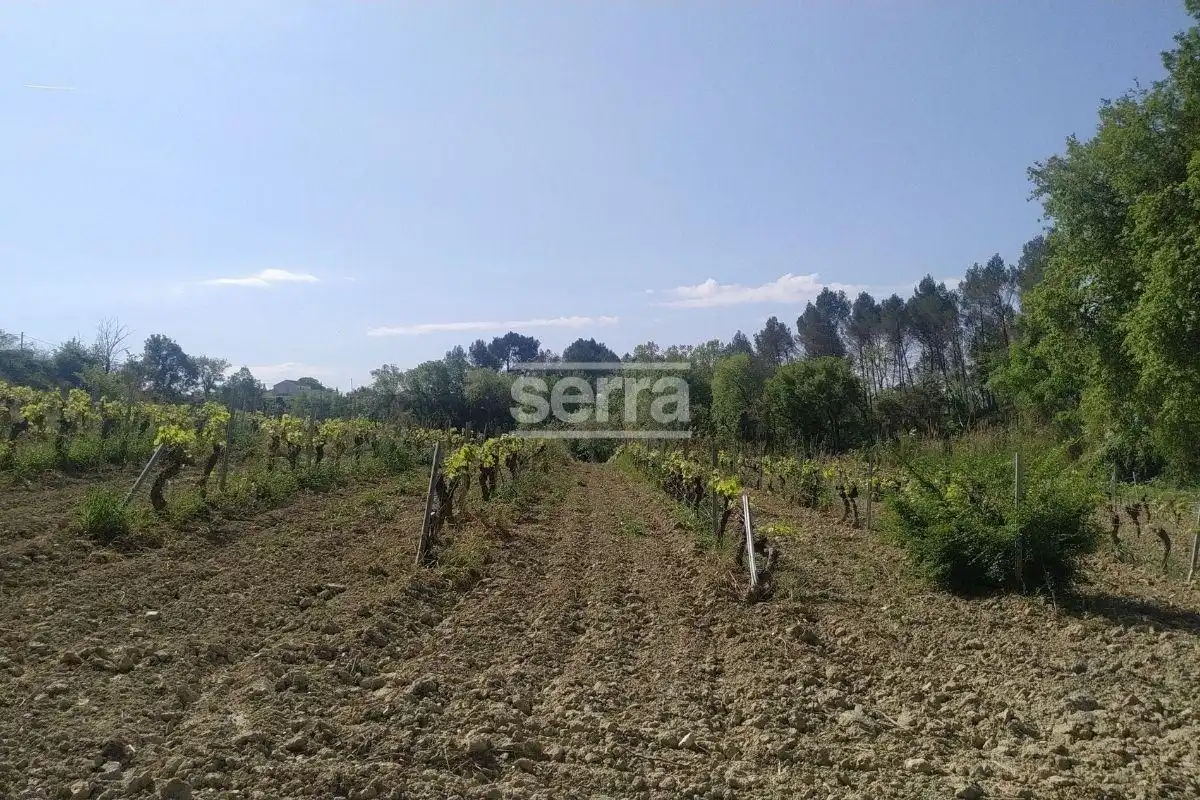 Rustikales Grundstück zum Verkauf in Sant Martí Sarroca, imagen 7