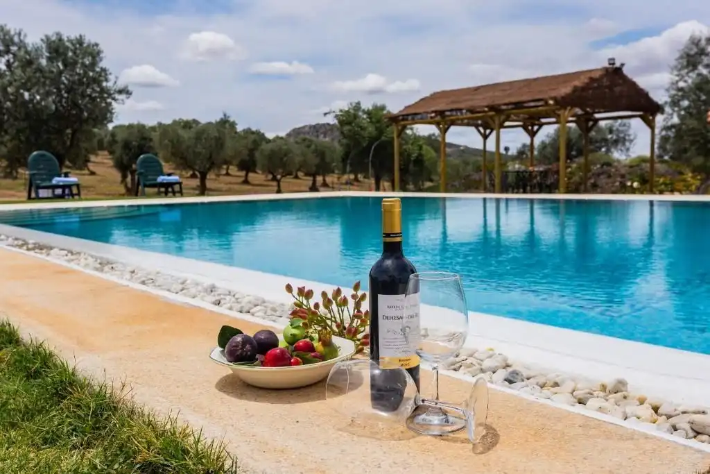 Swimming pool of Houses for sale in La Granjuela  with Air Conditioner
