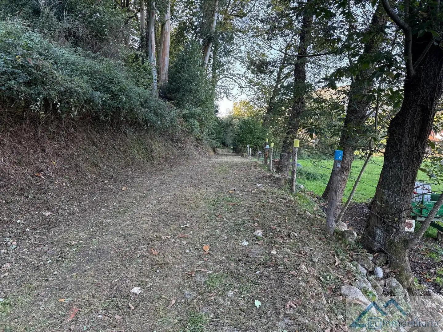 Lands and plots for sale in Cuatro s, imagen 7