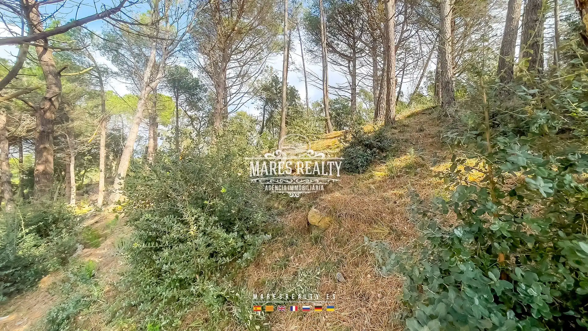 Terrenos y solares en venta en Pirineos 18, imagen 13