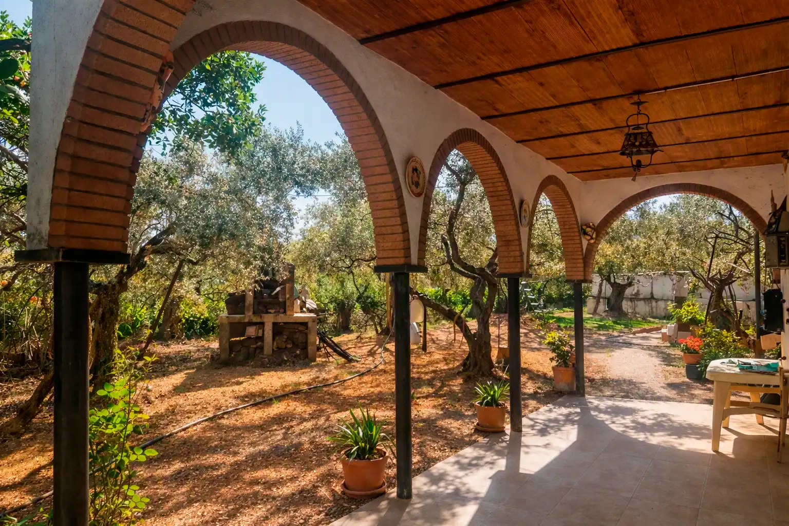 Terreno rustico in vendita a Polígono FINCA OREGANO POLG 4 PARCELA 17, imagen 6