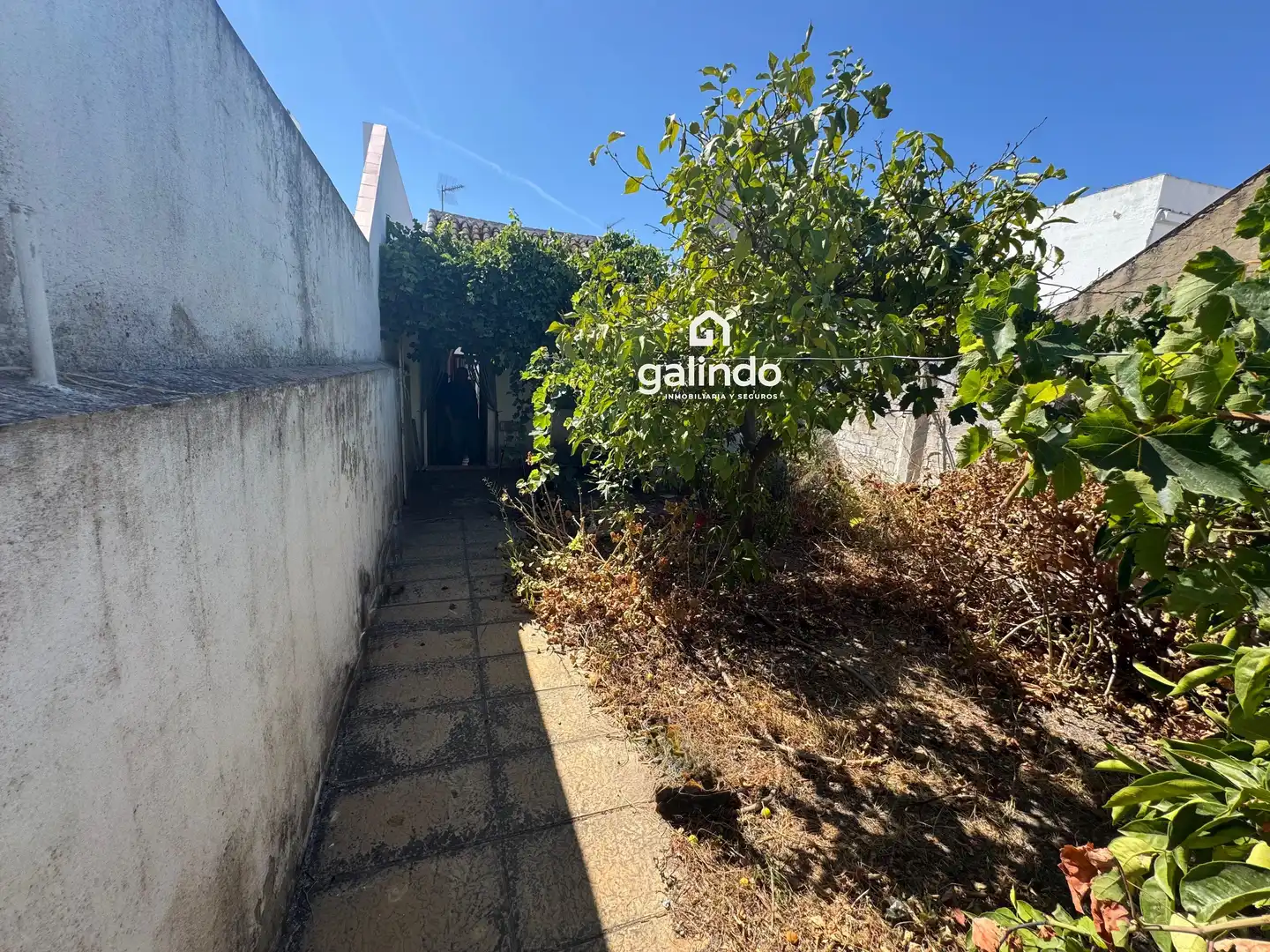 Adosado en venta en Paradas, imagen 12