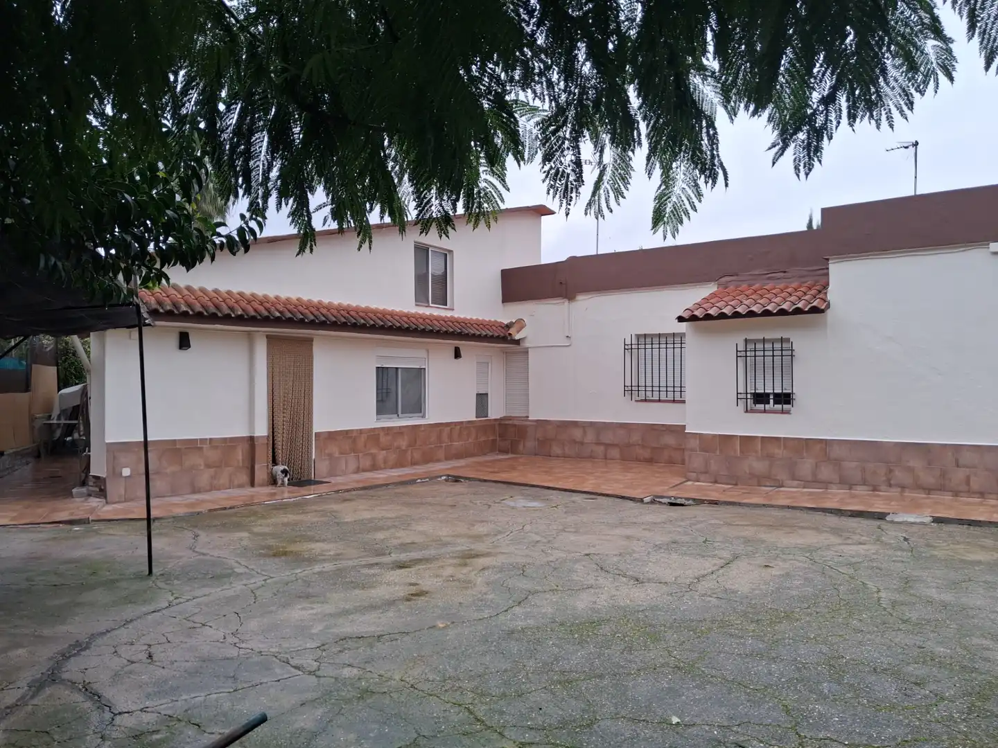 Vista exterior de Casa o chalet en venta en Castilleja de la Cuesta con Aire acondicionado, Calefacción y Jardín privado