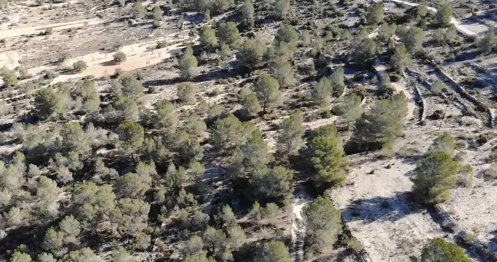 Terreno en venta en Monóvar  / Monòver